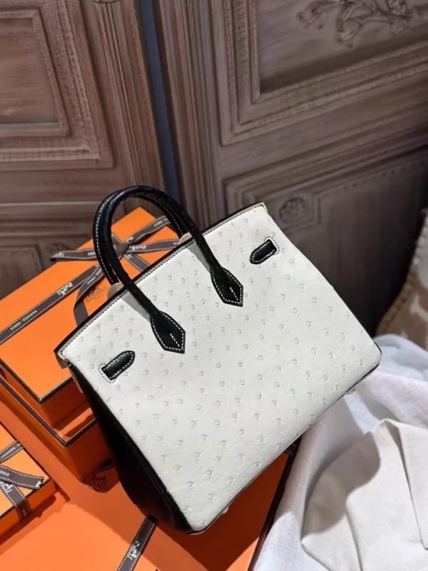 Hermes White & Black Ostrich Birkin 25CM Clover Stamp Brush Silver Hardware