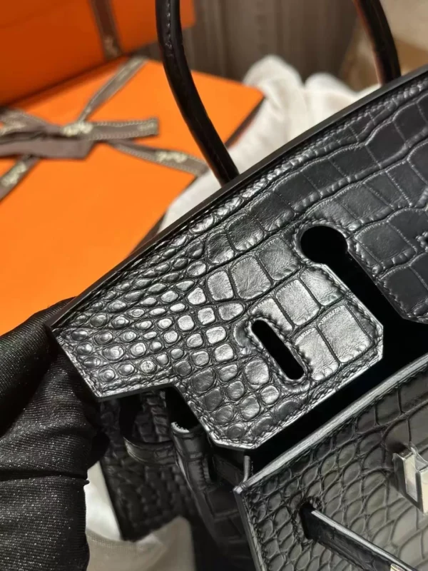 Hermes Matte Crocodile Birkin 25CM Sellier 89 Noir Silver Hardware