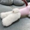Singapore Kuala Lumpur 187 Factory Budy Charm Mauve Pale Milo Agneau No.0