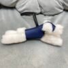 Canada Ottawa 187 Factory Budy Charm Milo Agneau Blue Saphir / Noir No.14